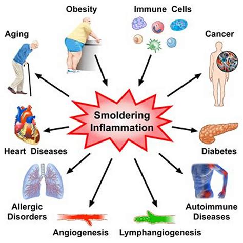 Systemic Inflammation Definition Causes Symptoms And Treatment