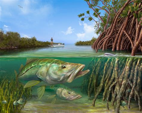 Snook Art Print Snook Fishing Topwater Snook Fishing Snook Etsy