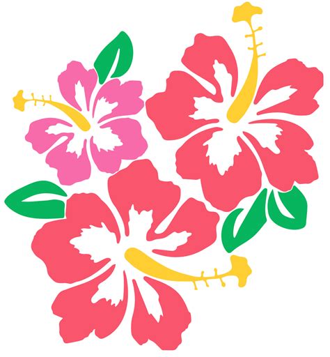 Hibiscus clipart svg free, Hibiscus svg free Transparent FREE for
