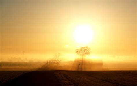 Morning Mist Free Photo Download Freeimages