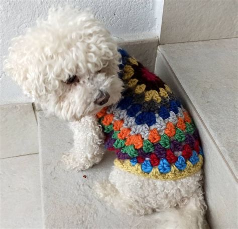 Granny Square Dog Sweater Crochet Dog Sweater Patchwork Etsy
