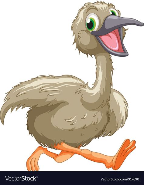 Cartoon Of An Emu On White Download A Free Preview Or High Quality