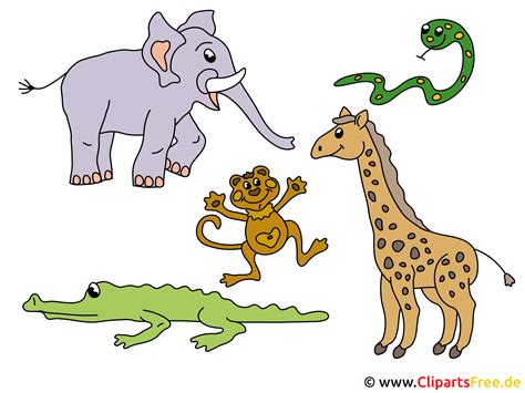 Animales De Dibujos Animados Imágenes Para Lecciones