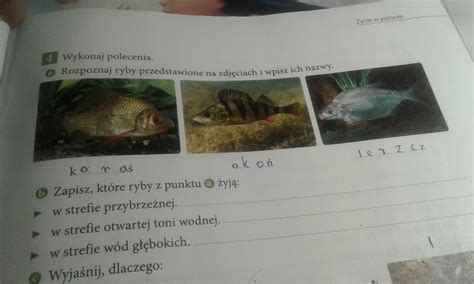 W Jakiej Strefie żyje Okoń - Rozpoznaj ryby przedstawione na zdjęciach i wpisz ich nazwy Zapisz