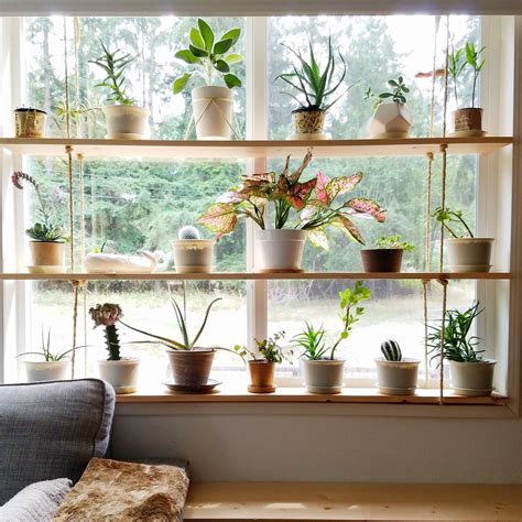 Window Plant Shelf Ideas