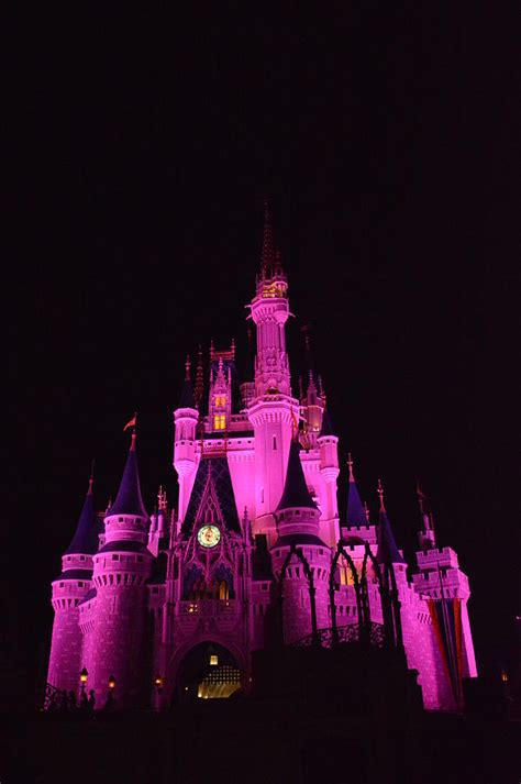 Cinderellas Castle At Night Photograph By James Feeney Fine Art America