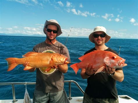 Cairns Fishing And Snorkeling Full Day Private Charter Boat
