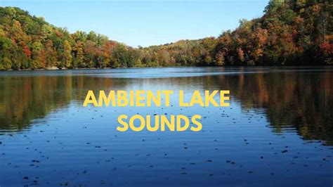 Ambient Lake Sounds Relaxing Lake Water Sounds Lake Soundscape