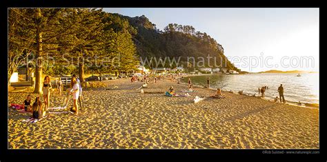 Days Bay Beach With Summer Evening Picnics Swimming And Sunbathing In The Late Afternoon Sun