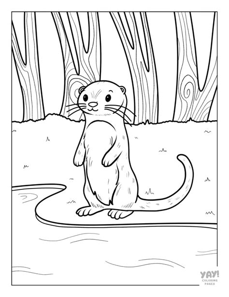 Otter Coloring Pages Free Printable Pdfs