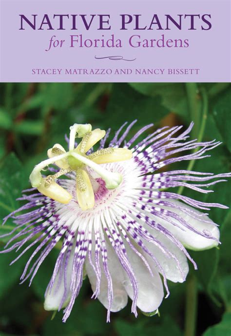 New Book Spotlights 100 Florida Native Plants For Landscapes Florida Wildflower Foundation