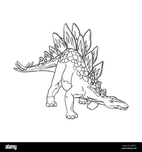 Dessin Lin Aire De Dessin De Dessin De Dinosaure De Stegosaurus Pour