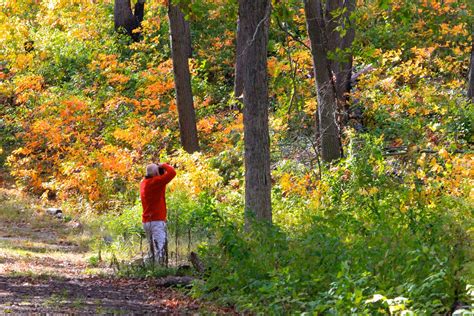 Places To See Fall Foliage In Indianas Cool North Nitdc