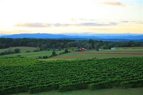 Barren Ridge Vineyards Visit Staunton