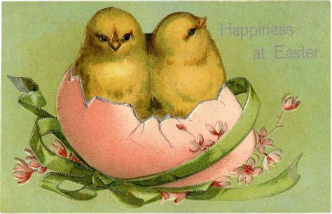 32 Easter Chick Clipart The Graphics Fairy