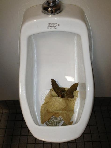 Somebody Pooped In One Of The Urinals At My School Rwtf