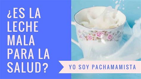 ¿es La Leche Mala Para La Salud Youtube