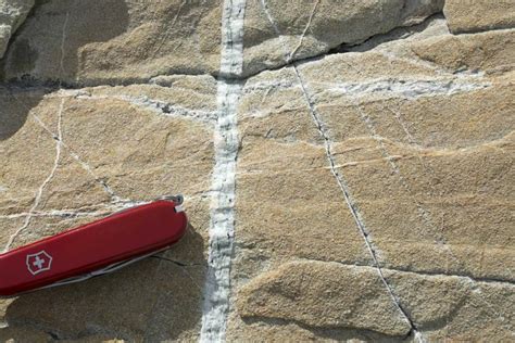 Quartz Veins In Sandstone Geology Pics