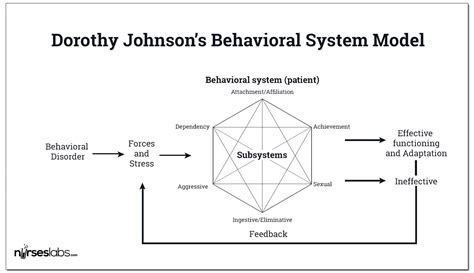Dorothy E Johnson Behavioral System Model Nurseslabs