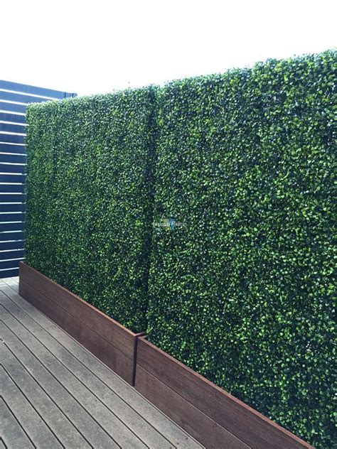 Maintain Your Privacy In A Modern Way With Privacy Hedges