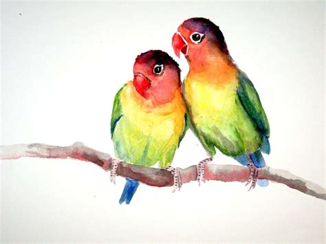Watercolor Love Birds At Explore Collection Of