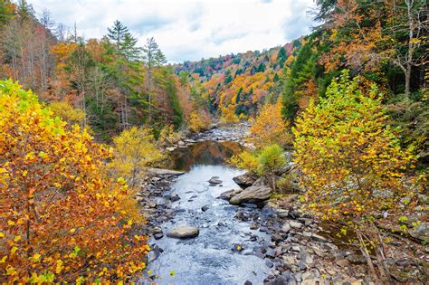 Clear Creek Fall Colors At Obed Wild And Scenic River Tennessee Hd