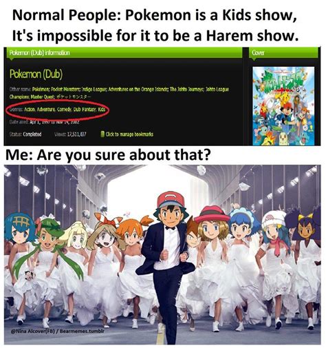 Yep Definitely The Best Harem Anime Of All Pokémon Know Your Meme