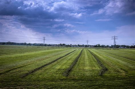 Farmland At Abcoude The Netherlands 12 6 2020 Editorial Stock Image