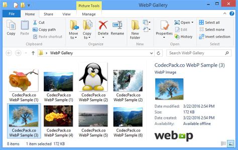 Webp Codec For Windows 0199 Free Download