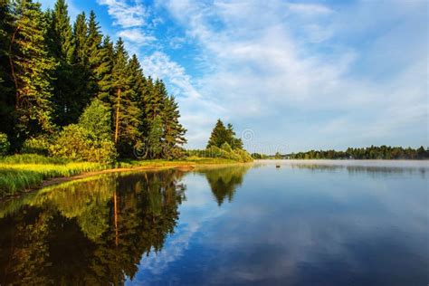 Forest Lake Pond In Summer Morning Stock Image Image Of Lake Reeds