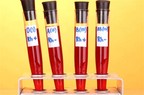 Mengenal Berbagai Fakta Golongan Darah O Dari Sisi Medis