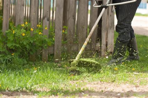 How To Troubleshoot A String Trimmer That Wont Prime Hunker