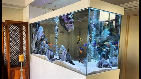 Top 5 Beautiful African Cichlids Tank Setup Luxury Cichlid Aquariums Youtube