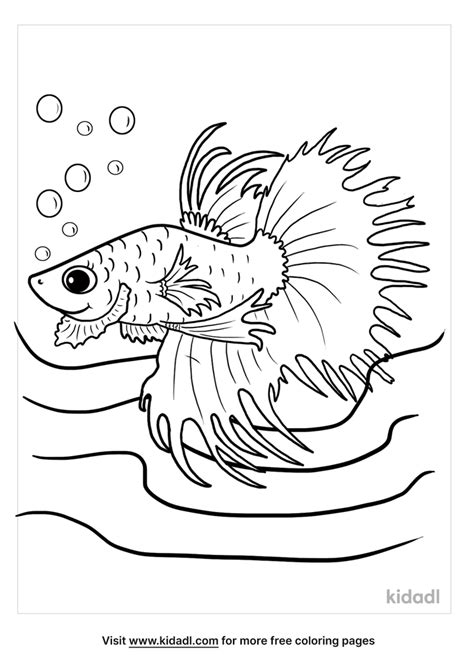 Mewarna Gambar Ikan Laga