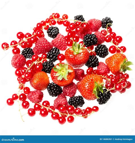 Berrys Stock Image Image 14686361