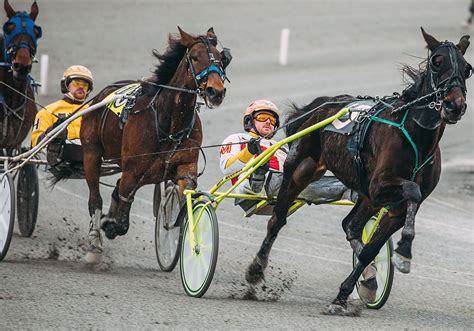 Racing.com is australia's premier resource for racing news, video, raceday information & profiles. Harness racing resumes at The Meadows after quarantine ...