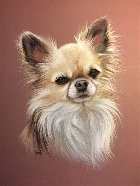 Chihuahua Au Pastel Chihuahua Drawing Chihuahua Art Dog Portrait