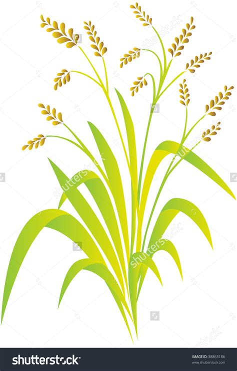 Rice Planting Clipart 20 Free Cliparts Download Images On Clipground 2024