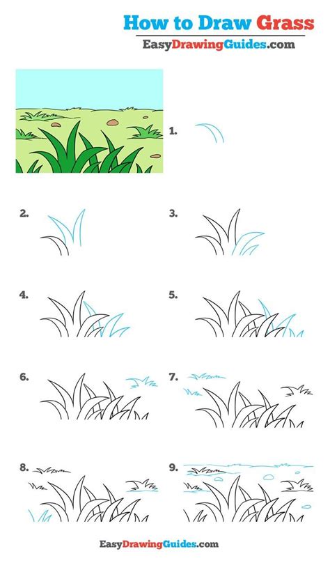 How To Draw Grass Really Easy Drawing Tutorial Easy Drawings