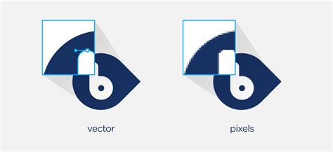 Vector Versus Pixel Zwartopwitbe