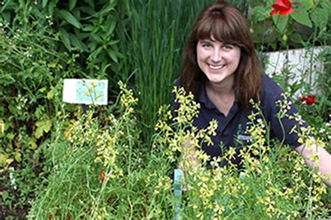 June Rocket Seeds Boldly Grow News And Features University Of Bristol