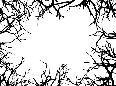 6 Rectangle Tree Branch Frame Png Transparent