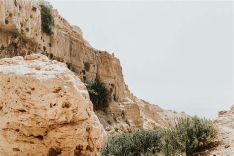 En Gedi In The Bible A Place Of Refuge — Firm Israel