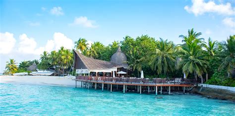 3 Nights 4 Days Taj Coral Reef Resort And Spa Maldives Tour Package