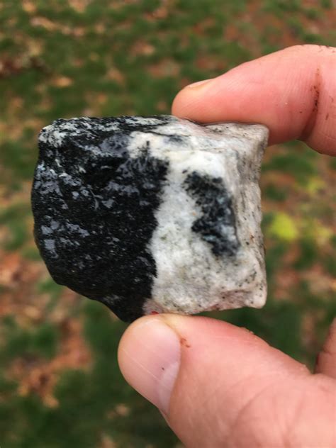 This Black And White Rock My Son Found Rmildlyinteresting