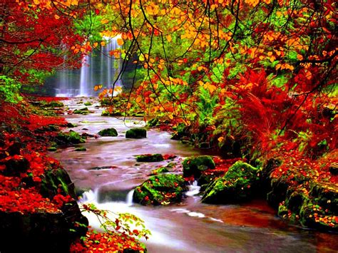 Autumn Scenery Stream River In Autumn Trees With Red Leaves Falling