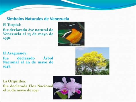 Simbolos Naturales De Venezuela