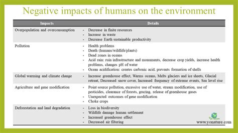 Negative Impacts Of Humans On The Environment Yo Nature