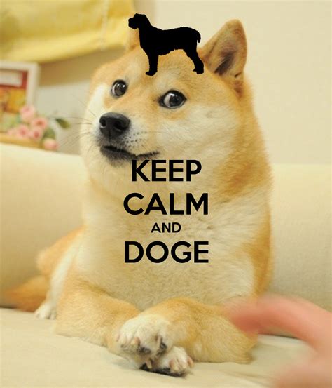 47 Doge Meme Wallpaper Wallpapersafari