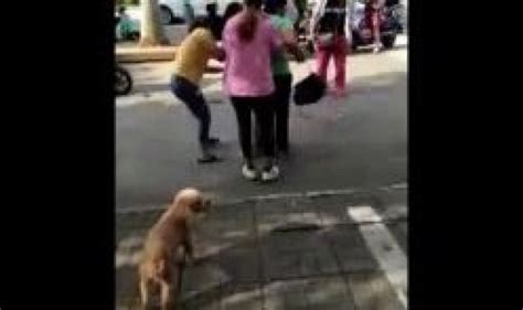 Chinese Mistress Stripped Naked On Street Xrares